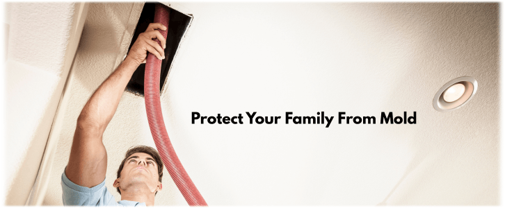Air Duct Mold Removal in Palm Desert